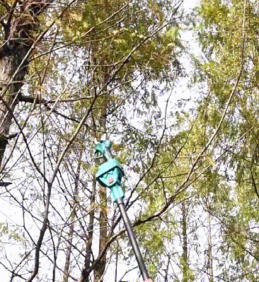 20221112_a67e4b52121481aa_385791504440_mp4_264_hd_taobao.gif.gif